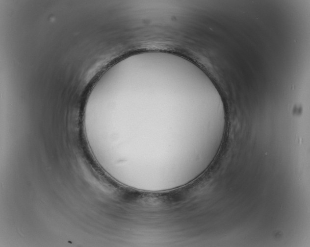 X0000112150299200909041110