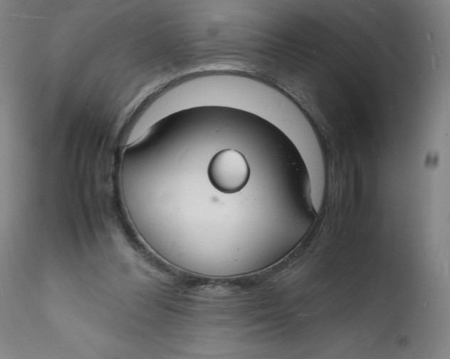 X0000112150300200909041110