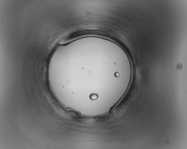 X0000112150301200909041110