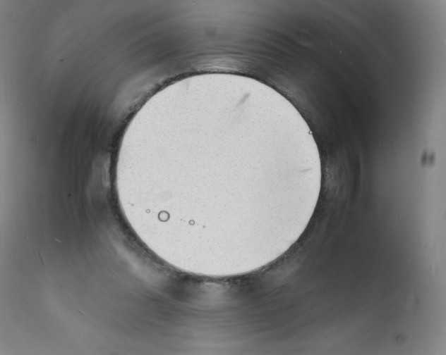 X0000112150302200909041110