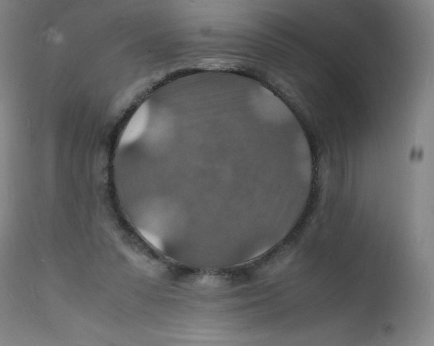 X0000112150303200909041110