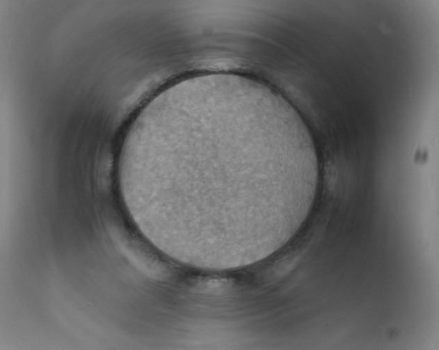 X0000112150304200909041110