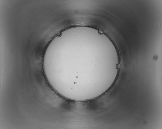 X0000112150305200909041110