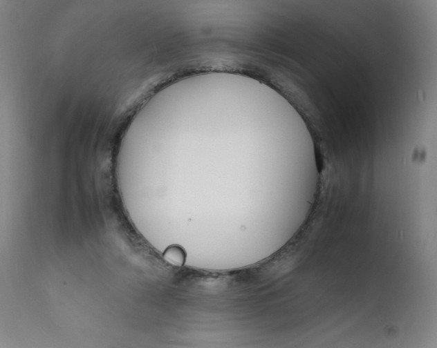 X0000112150306200909041110