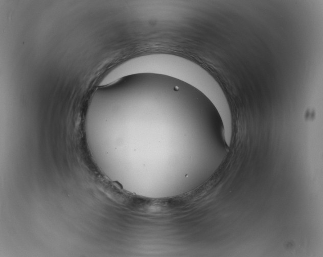 X0000112150308200909041110