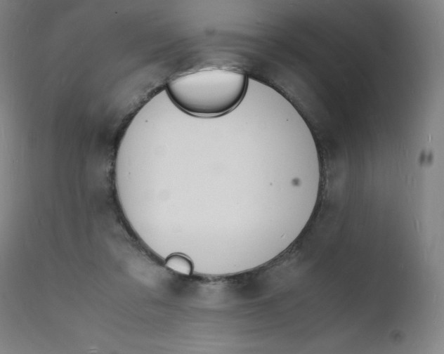 X0000112150309200909041110