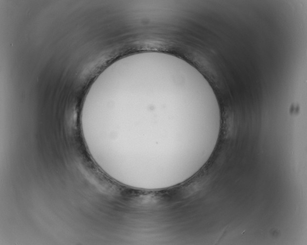 X0000112150310200909041110