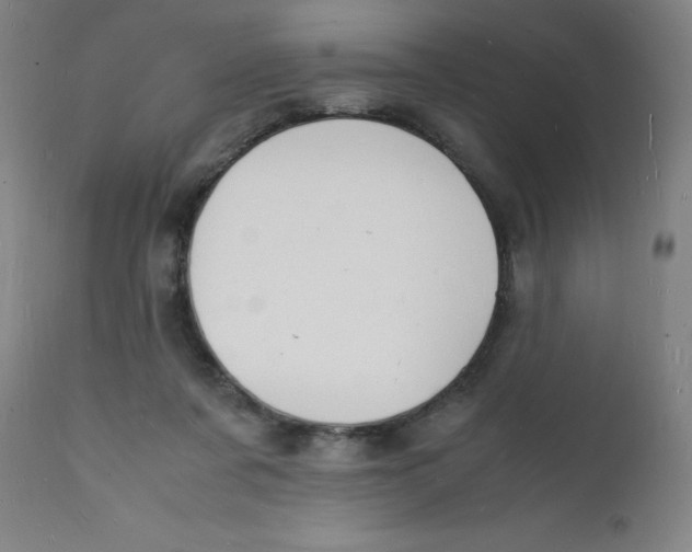 X0000112150311200909041110