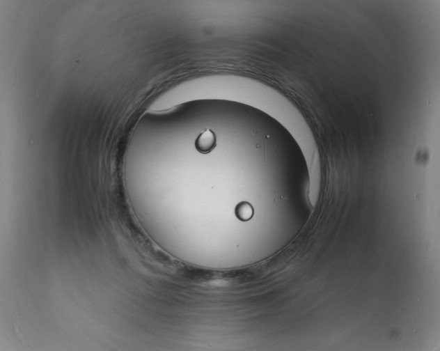 X0000112150312200909041109