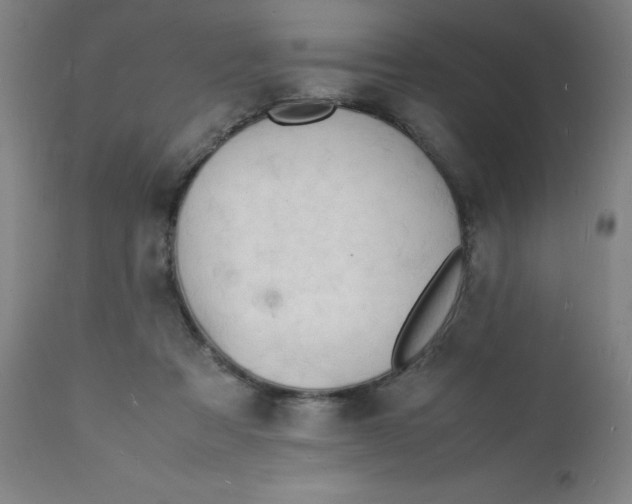 X0000112150313200909041109