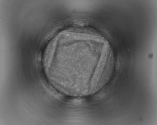 X0000112150314200909041109