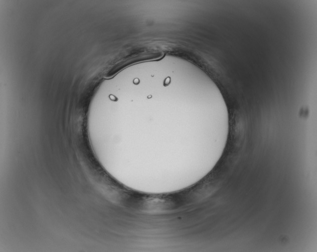 X0000112150315200909041109