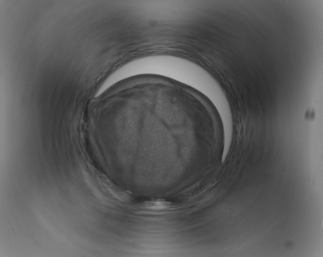 X0000112150316200909041109