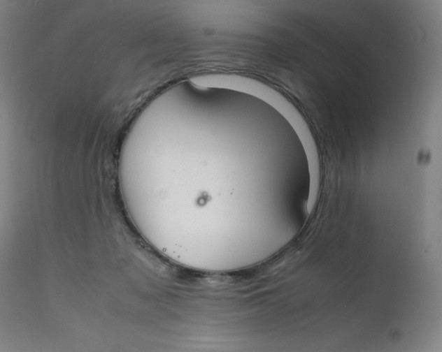 X0000112150317200909041109