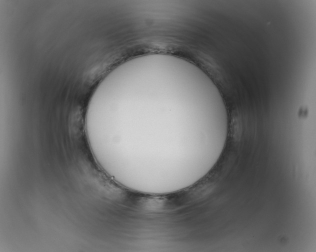 X0000112150318200909041109