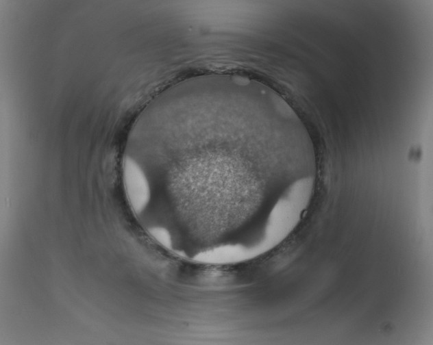 X0000112150319200909041109