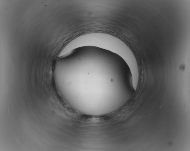 X0000112150320200909041109