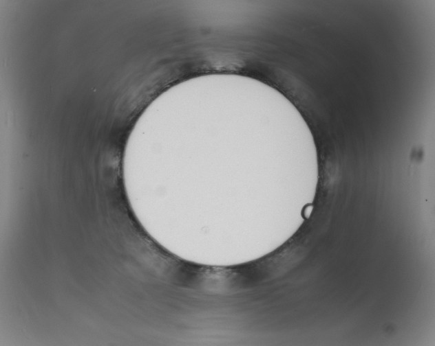 X0000112150321200909041109