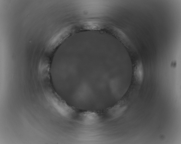 X0000112150322200909041109