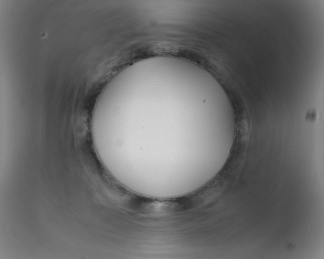 X0000112150323200909041109