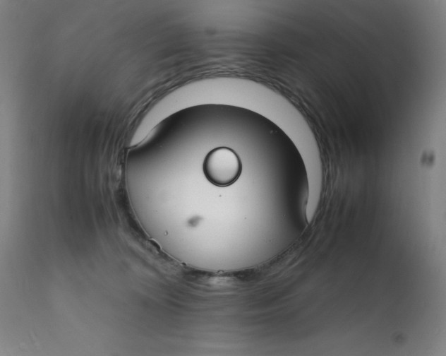 X0000112150324200909041109