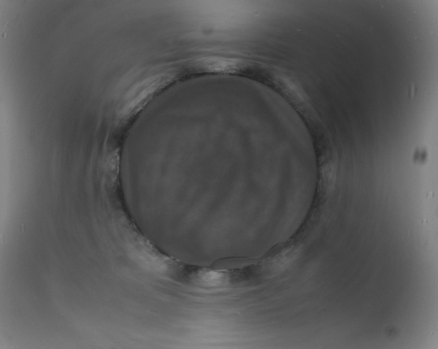 X0000112150325200909041109