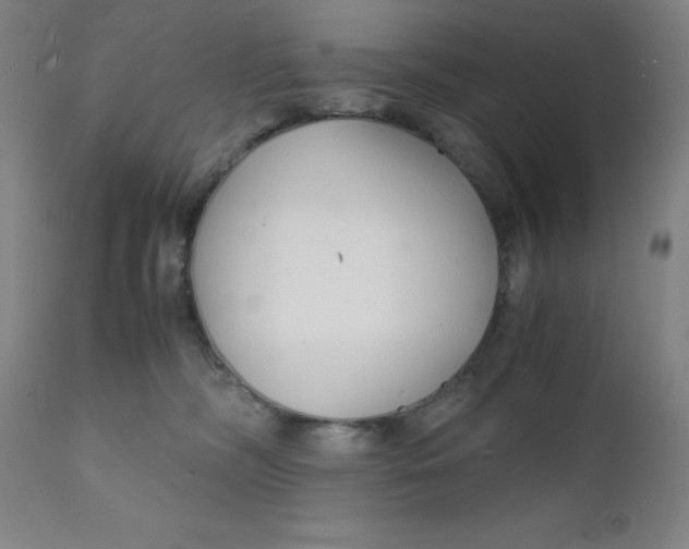 X0000112150326200909041109