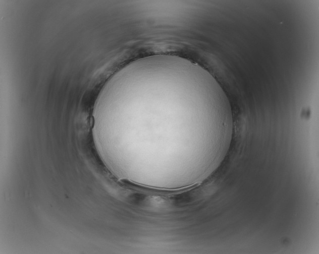 X0000112150327200909041109