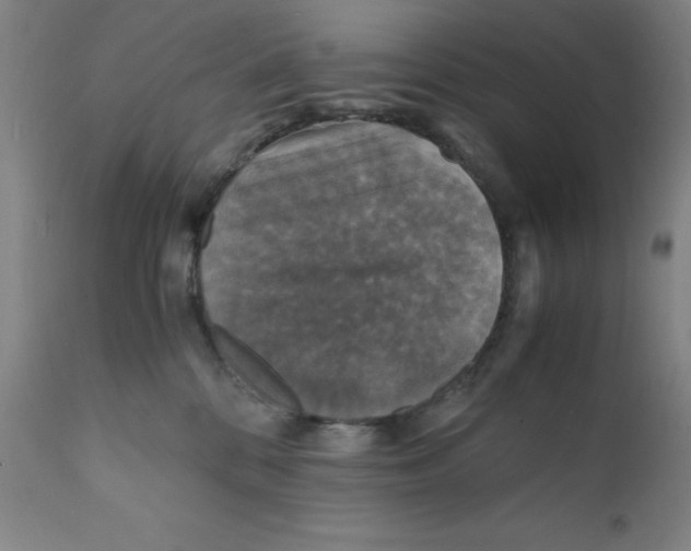 X0000112150328200909041109