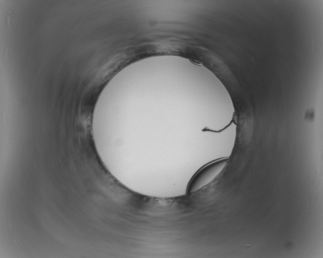 X0000112150329200909041109