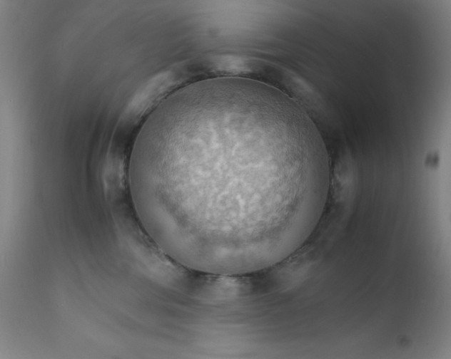 X0000112150330200909041109