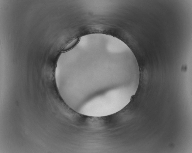 X0000112150331200909041109