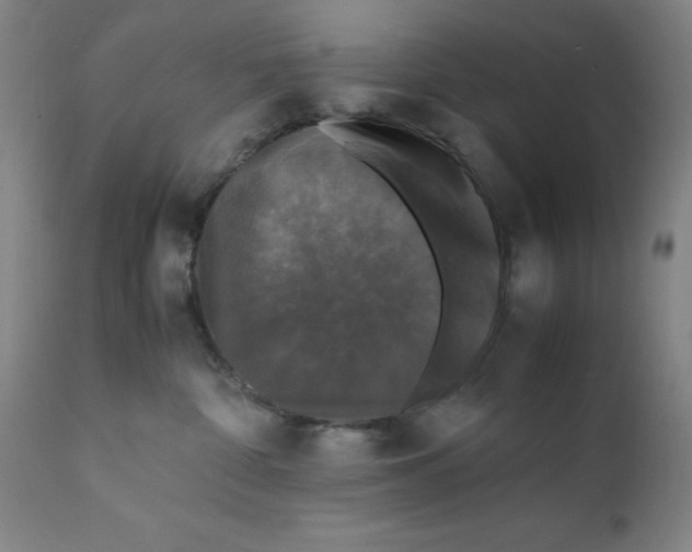 X0000112150332200909041109