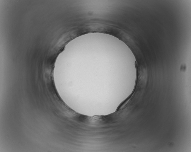 X0000112150333200909041109