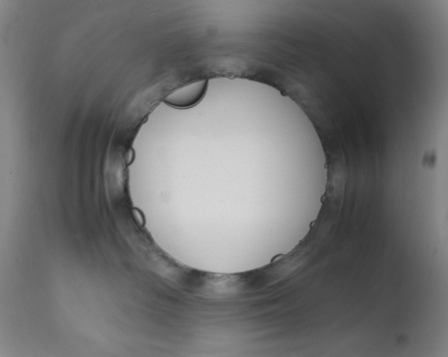 X0000112150334200909041109