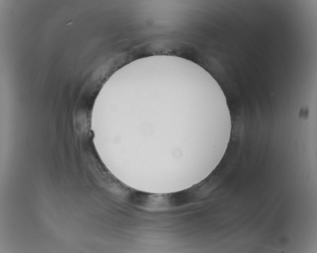 X0000112150335200909041109