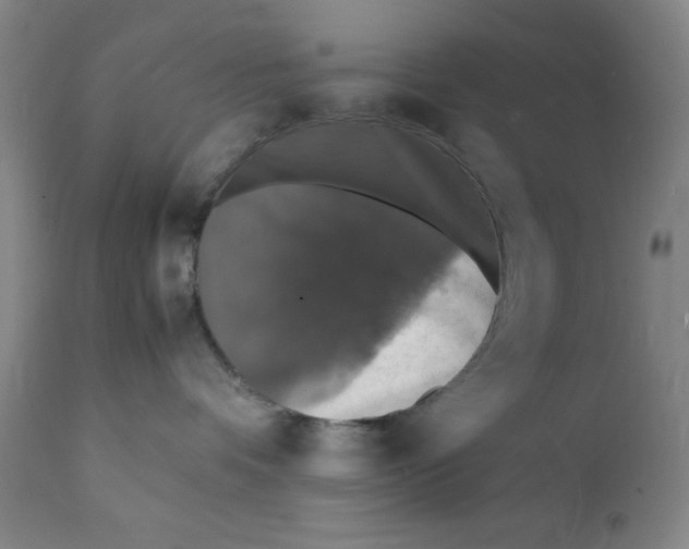 X0000112150336200909041109