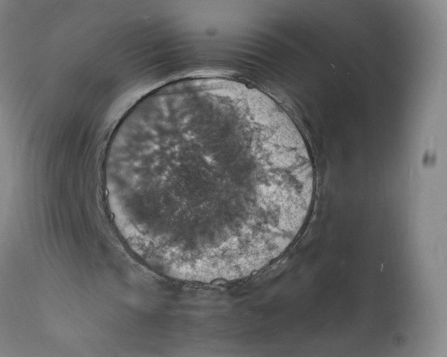 X0000112150337200909041109