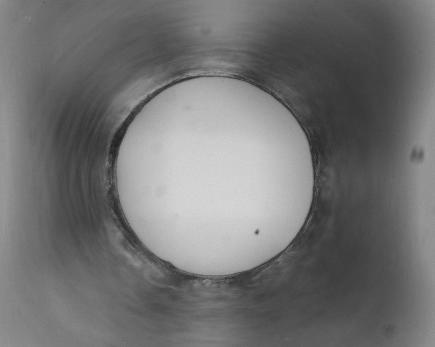 X0000112150338200909041109