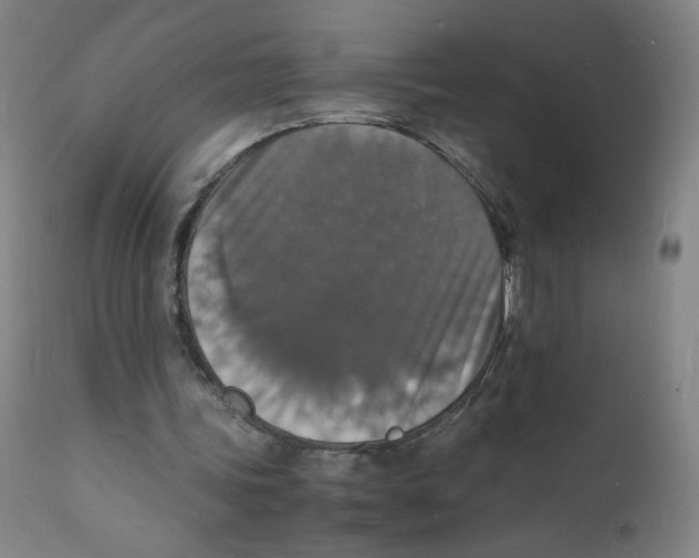 X0000112150339200909041109