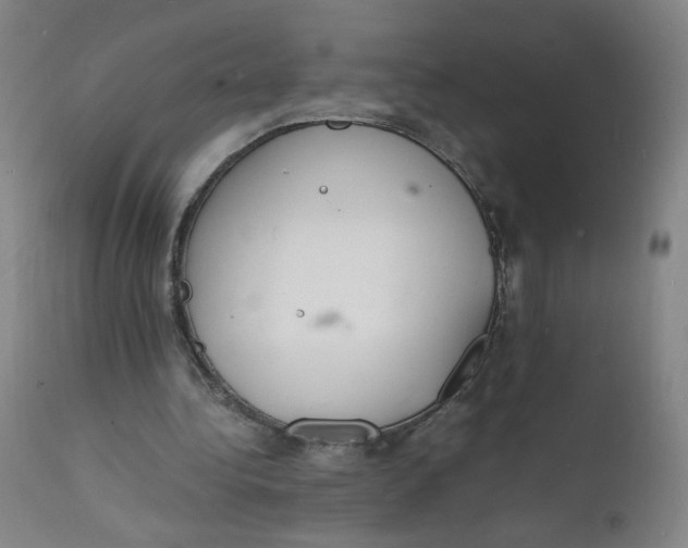 X0000112150340200909041109