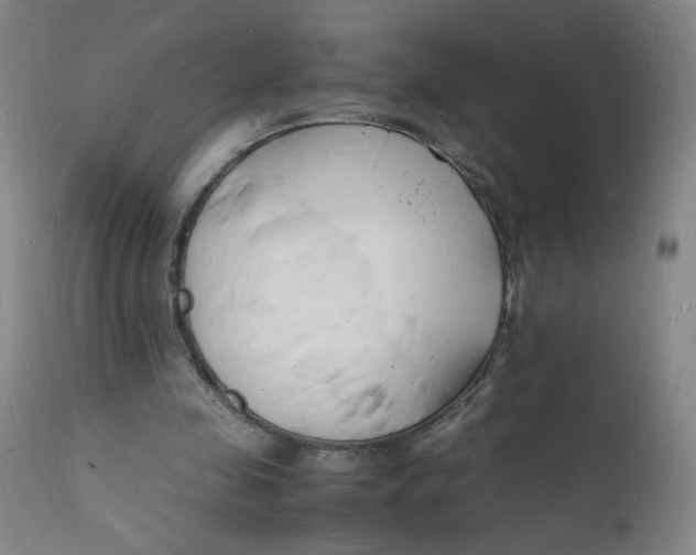 X0000112150341200909041109