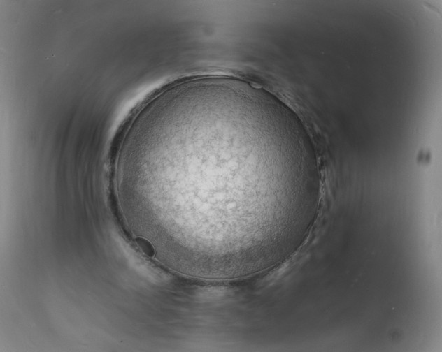 X0000112150342200909041109