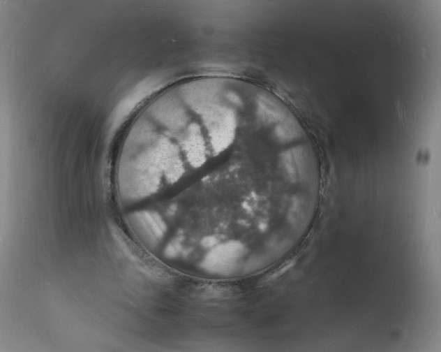 X0000112150343200909041109