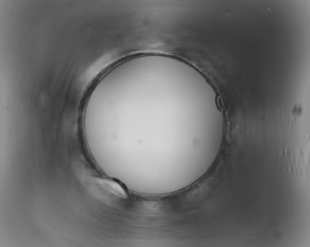 X0000112150344200909041109