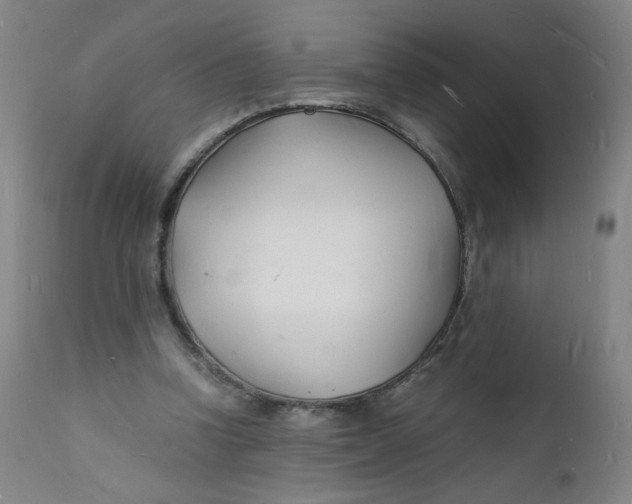 X0000112150346200909041109