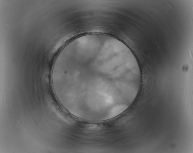 X0000112150347200909041109