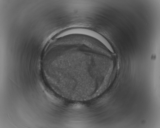 X0000112150348200909041109