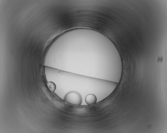 X0000112150349200909041109