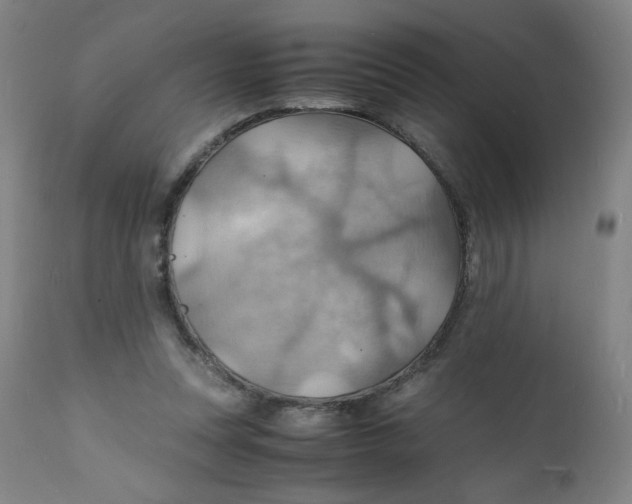 X0000112150351200909041109